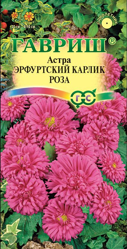 Астра Эрфуртский Карлик Роза помп, розовая, до 30см, однол 0,3гр