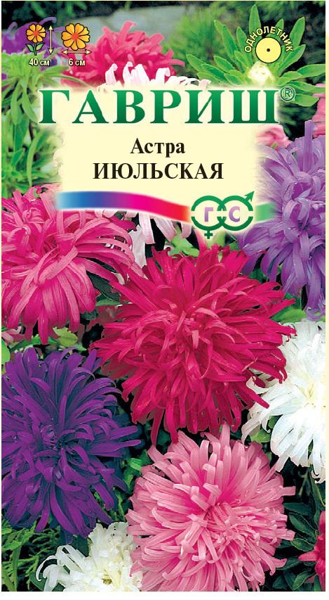 С Ц Астра Июльская когот, махровая смесь, до 40см, однол 0,3гр Гавриш/ЦВ