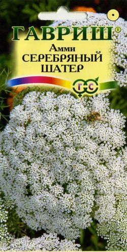 Амми Серебряный Шатер белый, 100см, однол 0,1гр Гавриш/ЦВ