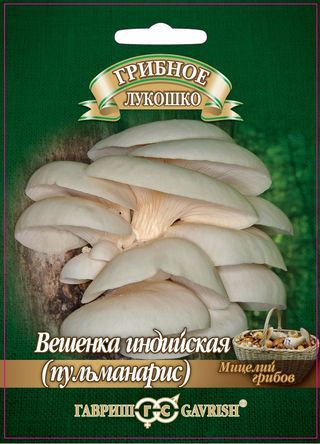 Мицелий Вешенка индийская (Пульманарис) на древесной палочке 12шт Гавриш/ЦВ 1/5