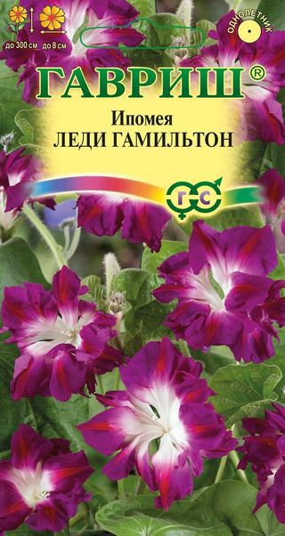 Ипомея Леди Гамильтон махр, вишневая с белым центром, однол, 2-3м 0,3гр Гавриш/ЦВ 1/10