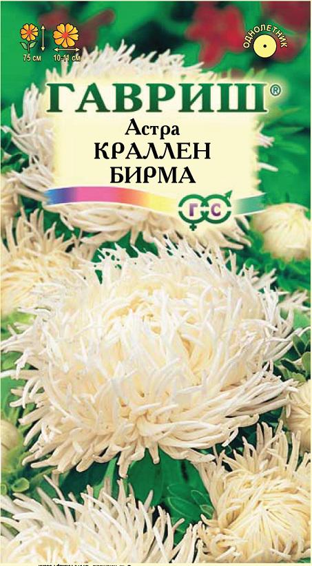 Астра Краллен Бирма когот, махр, кремово-белая, 50-60см, однол 0,3гр