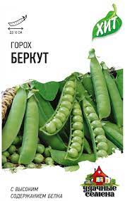 Горох Беркут лущильный, среднеранний ХИТ 6гр Гавриш/ЦВ