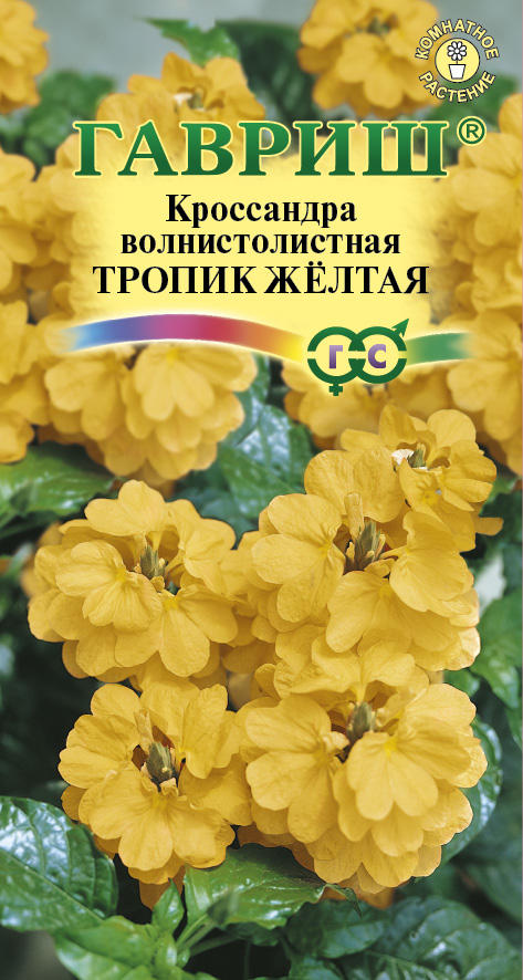 Кроссандра Тропик Желтая ярко-желтая, до 25см 3шт Гавриш/ЦВ 1/10
