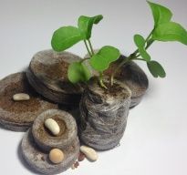 Таблетки джиффи-7 (41 мм)  Цена за 50шт