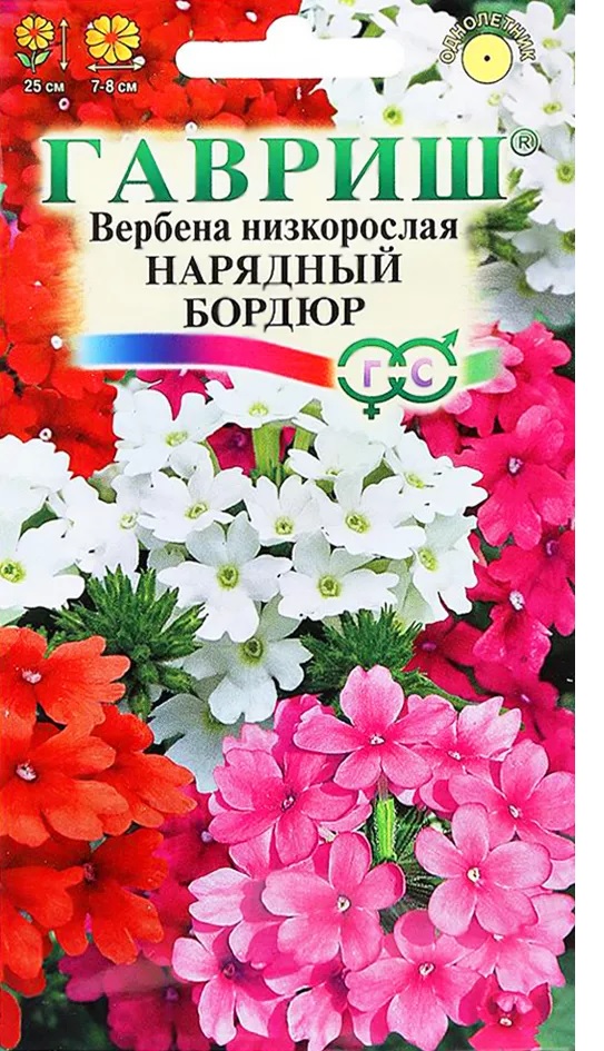 Вербена Нарядный бордюр, гибрид 0,05гр Гавриш/ЦВ 1/10