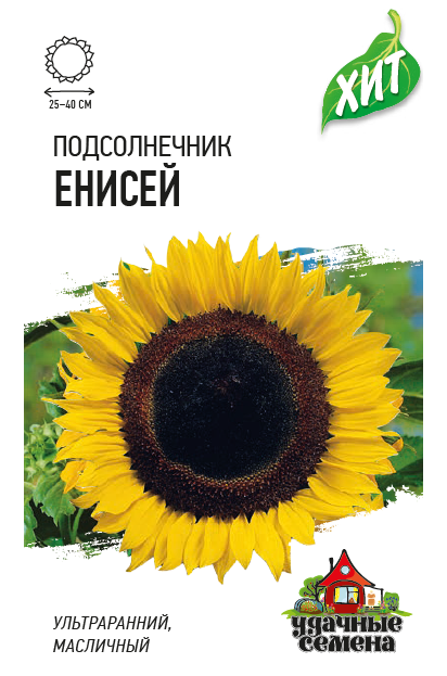 Подсолнечник Енисей масличный, ультраранний ХИТ 5гр Гавриш/ЦВ