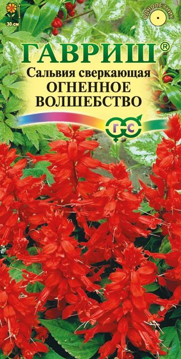 Сальвия Огненное Волшебство низкор, пурпурно-красная, до 30см, однол, 0,05гр Гавриш/ЦВ