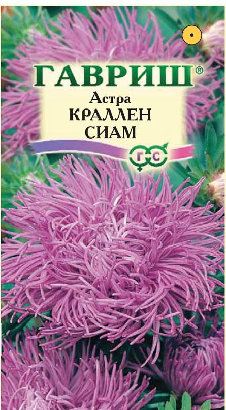 Астра Краллен Сиам когот, махр, лиловая, 50-60см, однол 0,3гр Гавриш/ЦВ
