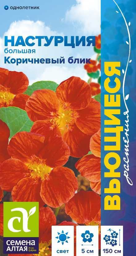 Настурция Коричневый Блик большая, вьющ, бордово-коричневая, 1,5м, однол 0,5гр СА/ЦВ 1/10