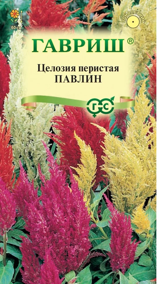 Целозия перистая Павлин смесь, до 50см, однол 0,05гр Гавриш/ЦВ 1/10