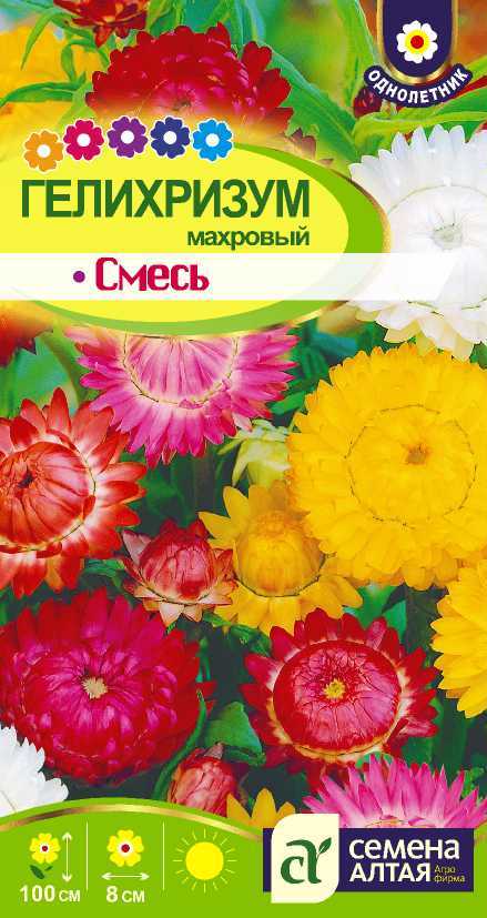 Гелихризум Махровый Смесь, до 100см, однол 0,1гр СА/ЦВ 1/10
