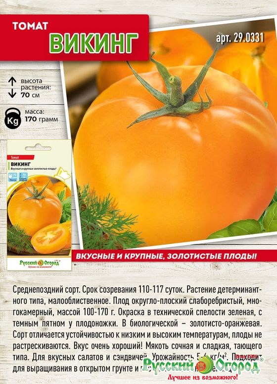 Томат Викинг высок, среднепоздний, золотисто-оранжевый, крупнопл 0,1гр НК/ЦВ