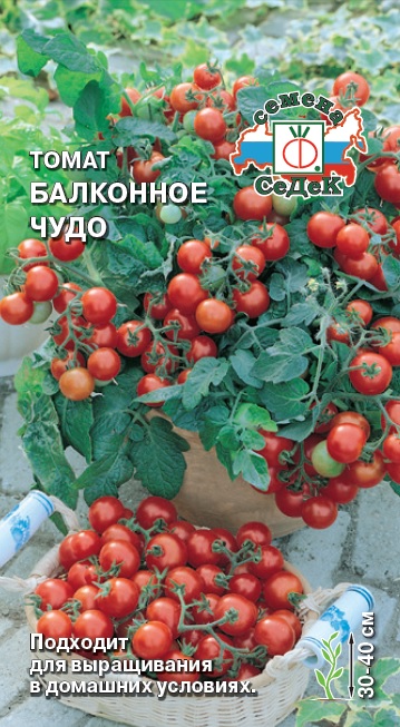 Томат Балконное Чудо низкор, скороспелый, красный 30-40гр 0,1гр Седек/ЦВ