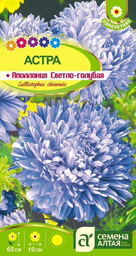 С Ц Астра Аполлония Светло-голубая, хризантемов, 60-70см, однол 0,2гр СА/ЦВ