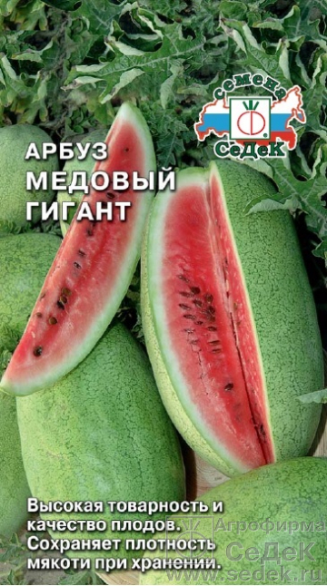 Арбуз Медовый Гигант раннеспелый, 12-15кг 1гр Седек/ЦВ
