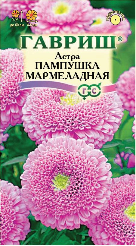 Астра Пампушка Мармеладная помп, махр, розовая, 50см 0,3гр Гавриш/ЦВ
