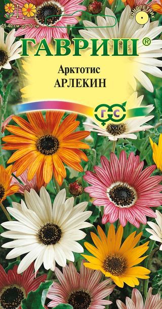Арктотис Арлекин крупноцв, смесь, 35-40см, однол 0,2гр Гавриш/ЦВ